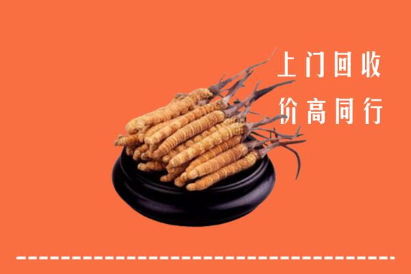 高价求购：华坪县回收散虫草