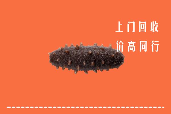 高价求购：华坪县回收海参